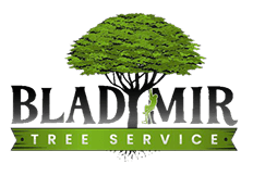 Bladimir Tree Services