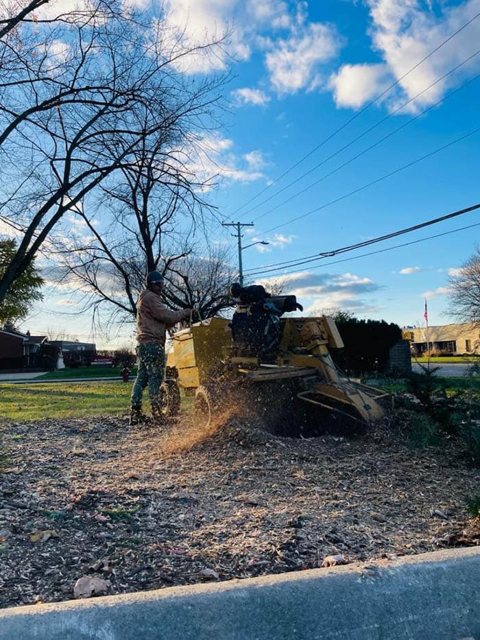 Preferred Tree Cutting Service