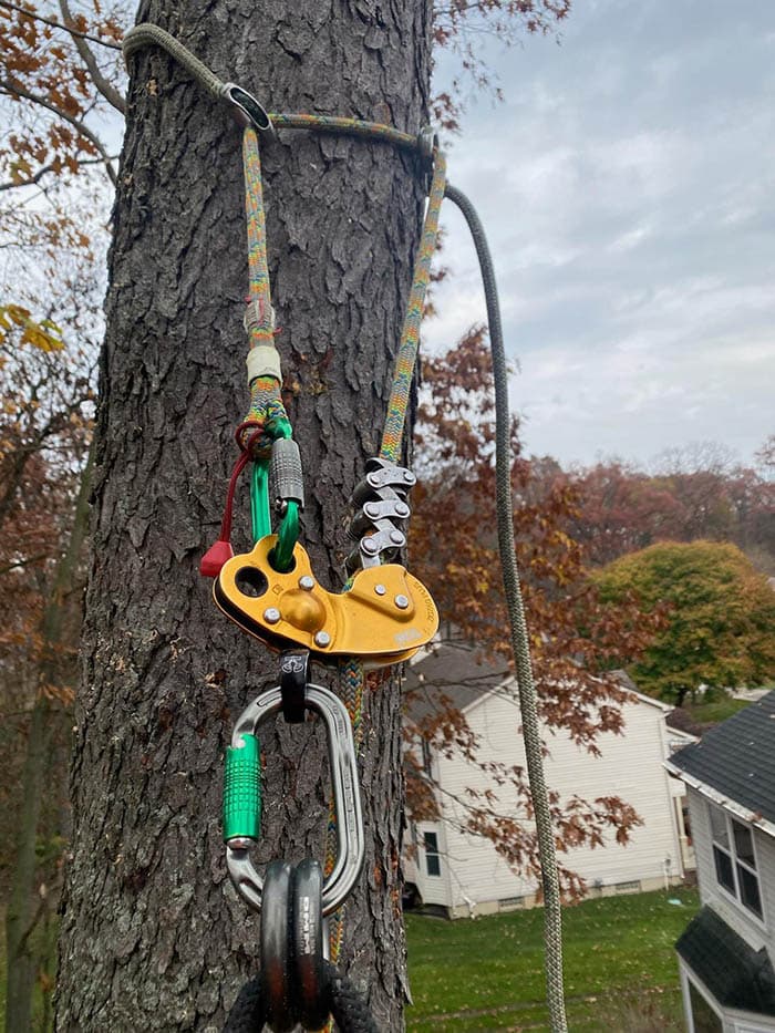 Top Tree Service