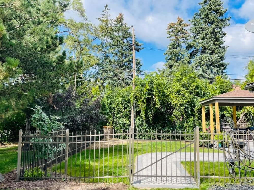 Residential Tree Removal