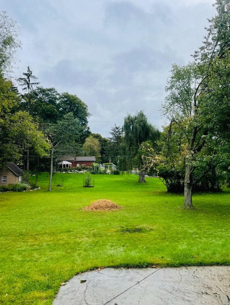 Tree Cutting Service