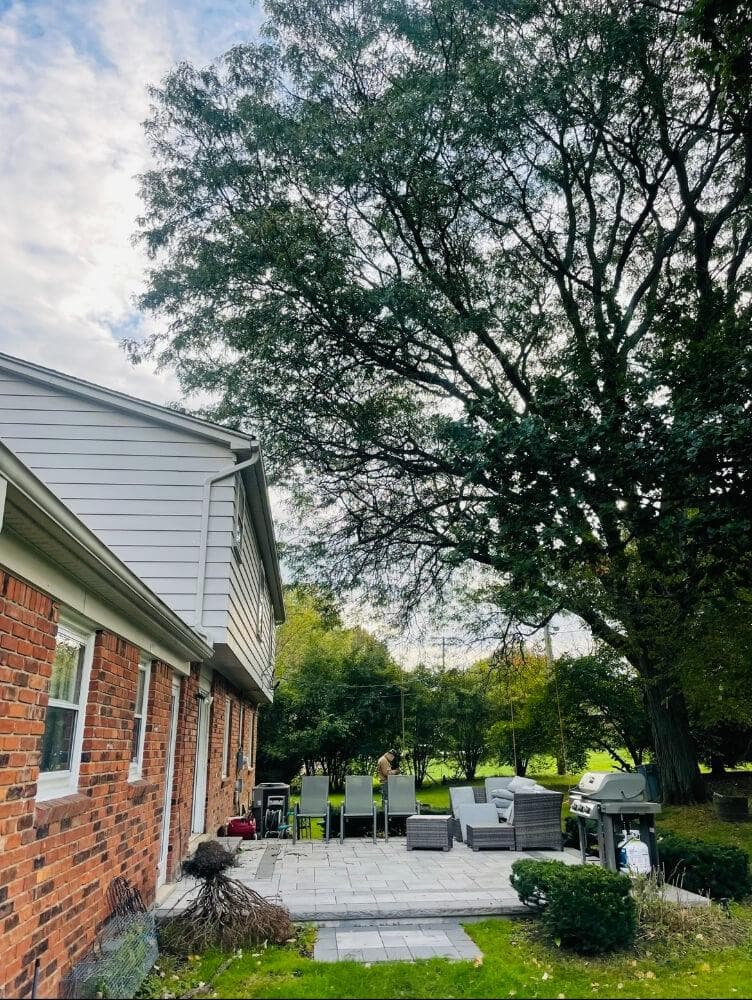 Tree Cutting Service