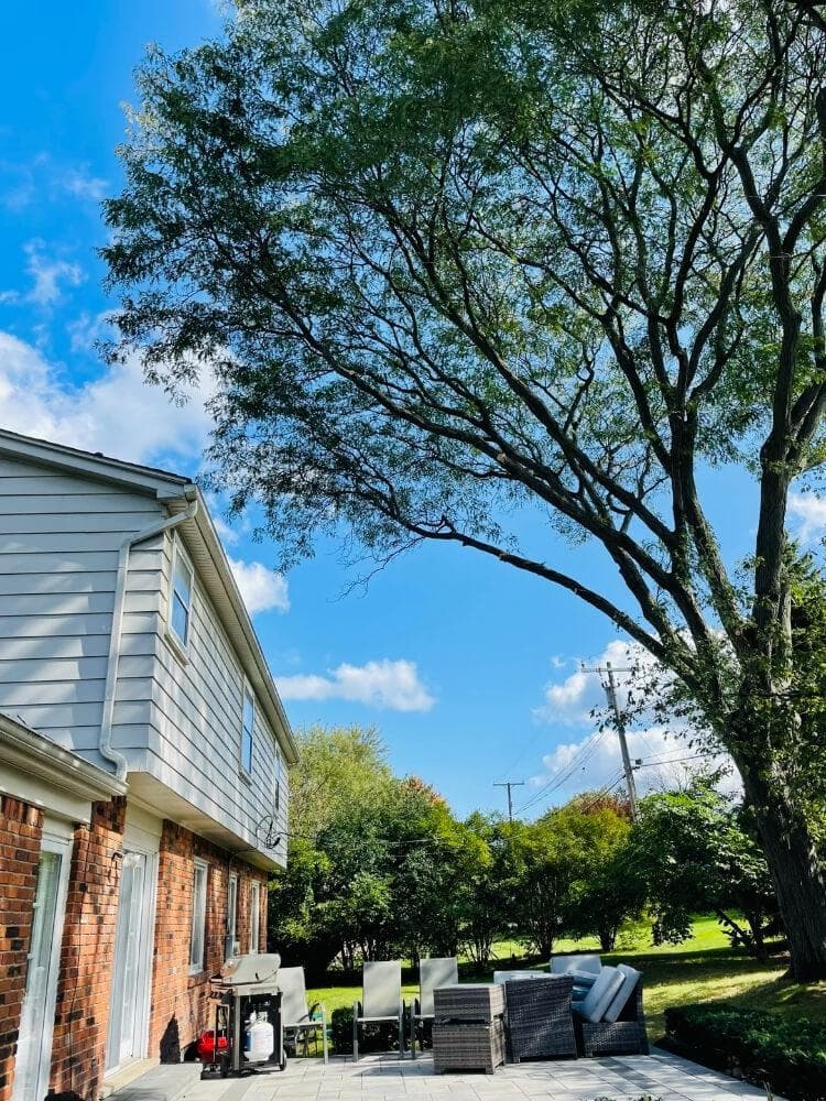 Tree Cutting Service