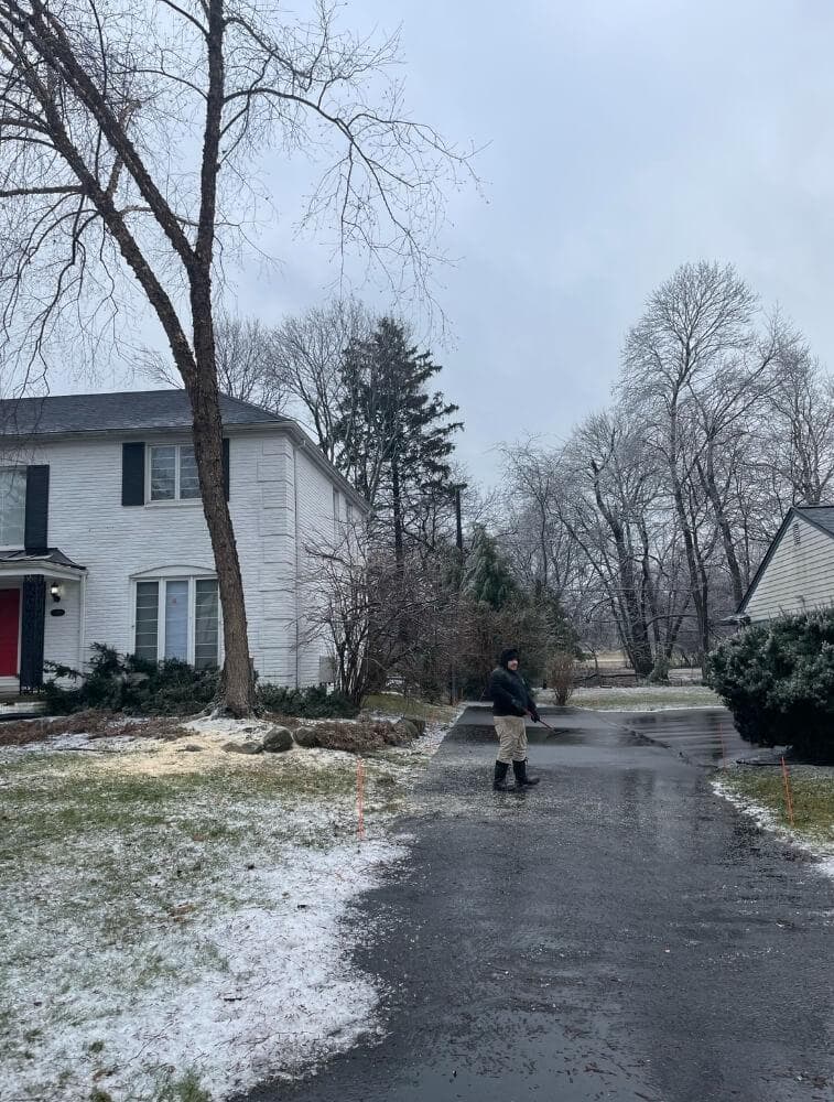 Tree Service