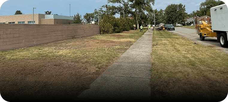 Lot & Brush Clearing