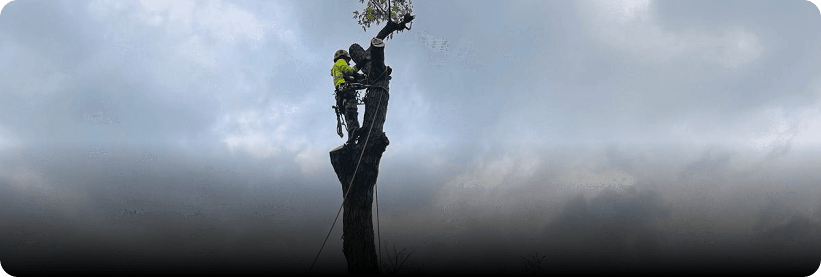 Storm Damage Cleanup